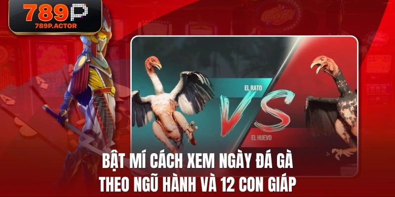 Bật mí cách xem ngày đá gà theo ngũ hành và 12 con giáp Bật mí cách xem ngày đá gà theo ngũ hành và 12 con giáp