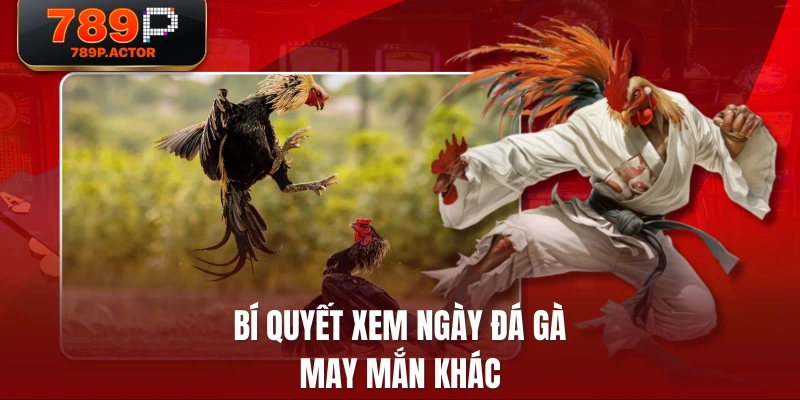 Bí quyết xem ngày đá gà may mắn khác Bí quyết xem ngày đá gà may mắn khác