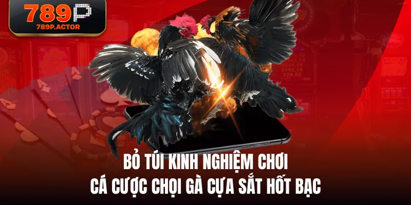 Bỏ túi kinh nghiệm chơi cá cược chọi gà cựa sắt hốt bạc Bỏ túi kinh nghiệm chơi cá cược chọi gà cựa sắt hốt bạc