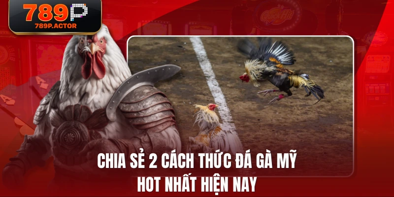 Chia sẻ 2 cách thức đá gà mỹ hot nhất hiện nay