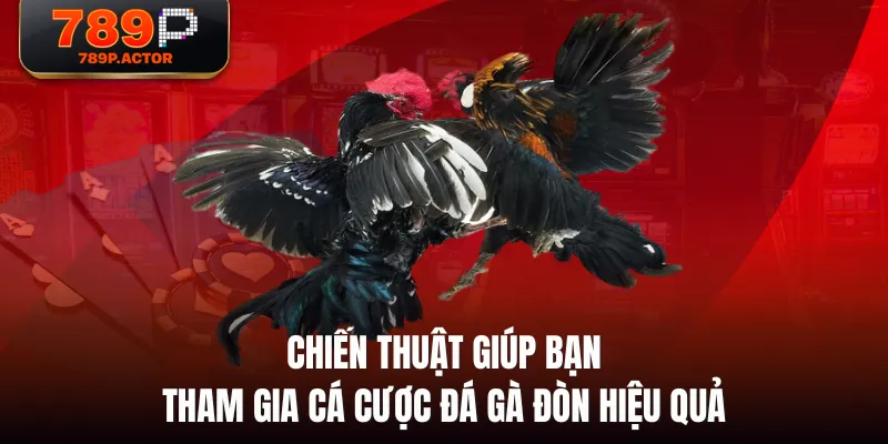 Chiến thuật giúp bạn tham gia cá cược đá gà đòn hiệu quả