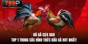 Đá Gà Cựa Dao - Top 1 Trong Các Hình Thức Đấu Gà Hot Nhất!