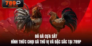 Đá Gà Cựa Sắt - Hình Thức Chọi Gà Thú Vị Và Đặc Sắc Tại 789P