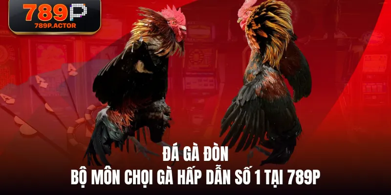 Đá Gà Đòn - Bộ Môn Chọi Gà Hấp Dẫn Số 1 Tại 789P