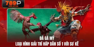 Đá Gà Mỹ - Loại Hình Giải Trí Hấp Dẫn Số 1 Với Sư Kê