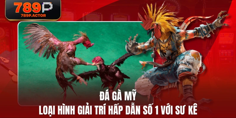 Đá Gà Mỹ - Loại Hình Giải Trí Hấp Dẫn Số 1 Với Sư Kê