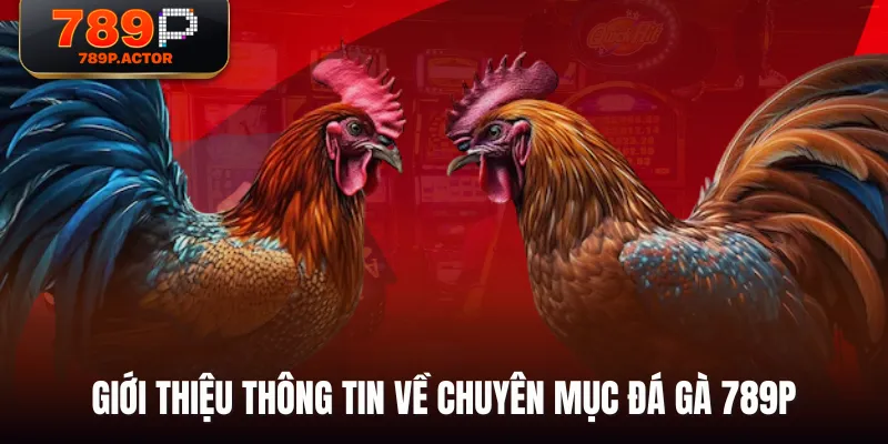 Giới thiệu thông tin về chuyên mục Đá Gà 789P