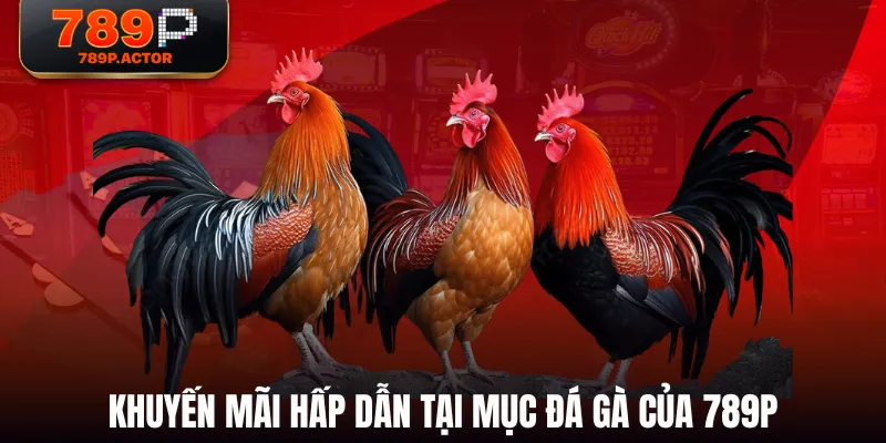 Khuyến mãi hấp dẫn tại mục Đá Gà của 789P