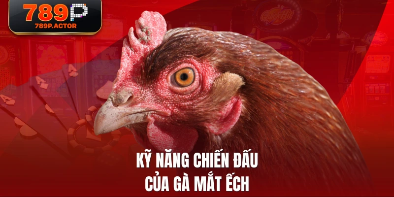 Kỹ năng chiến đấu của gà mắt ếch Kỹ năng chiến đấu của gà mắt ếch
