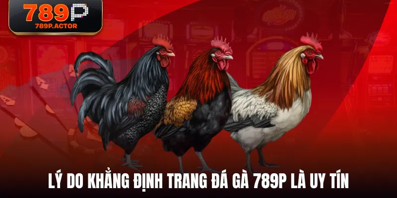 Lý do khẳng định trang đá gà 789P là uy tín