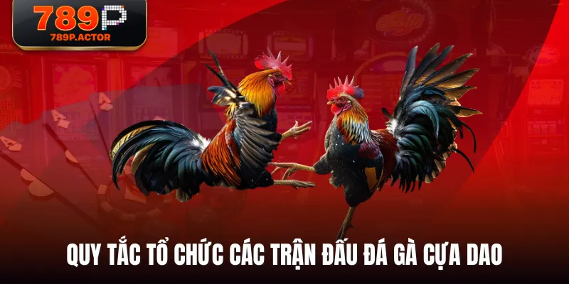 Quy tắc tổ chức các trận đấu đá gà cựa dao