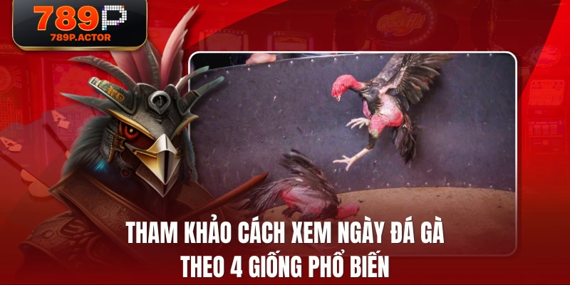 Tham khảo cách xem ngày đá gà theo 4 giống phổ biến Tham khảo cách xem ngày đá gà theo 4 giống phổ biến