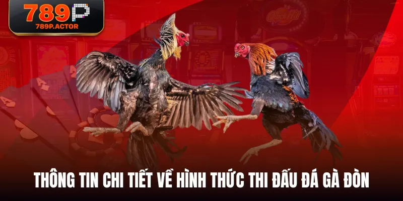 Thông tin chi tiết về hình thức thi đấu đá gà đòn