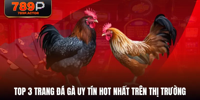 Top 3 trang đá gà uy tín hot nhất trên thị trường
