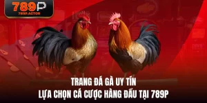 Trang Đá Gà Uy Tín - Lựa Chọn Cá Cược Hàng Đầu Tại 789P