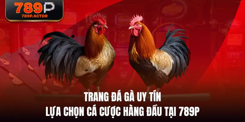 Trang Đá Gà Uy Tín - Lựa Chọn Cá Cược Hàng Đầu Tại 789P