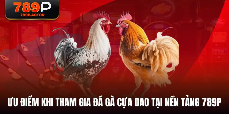 Ưu điểm khi tham gia đá gà cựa dao tại nền tảng 789P