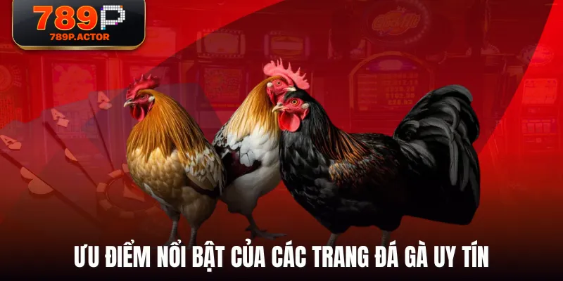Ưu điểm nổi bật của các trang đá gà uy tín