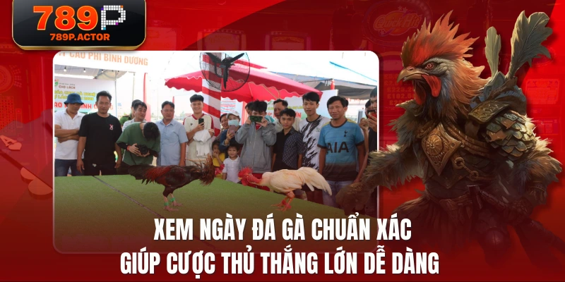 Xem Ngày Đá Gà Chuẩn Xác Giúp Cược Thủ Thắng Lớn Dễ Dàng